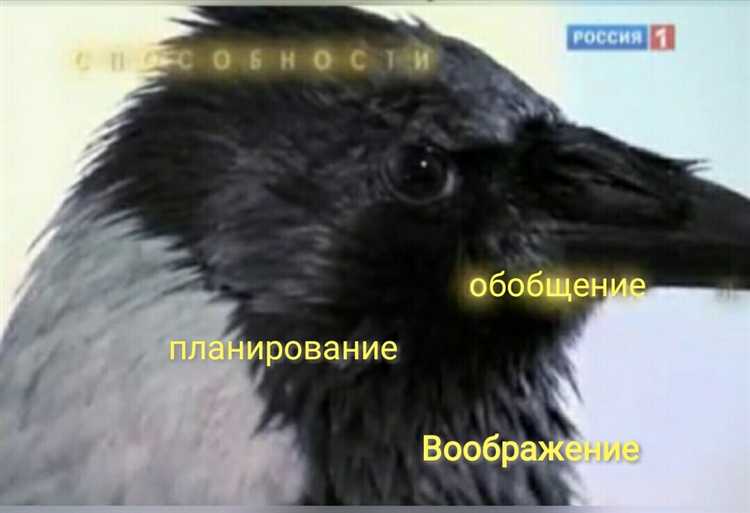 Как называют ворону сидящую на проводах