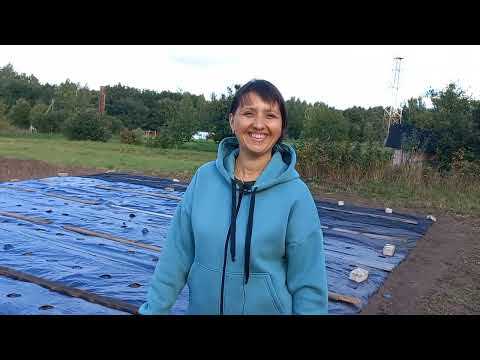 Особенности полива и ухода за растениями с агроволокном