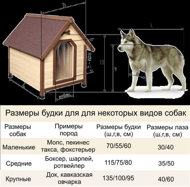 Утепление будки для круглогодичного использования