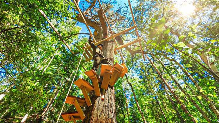 Как построить дом в лесу своими руками без инструментов