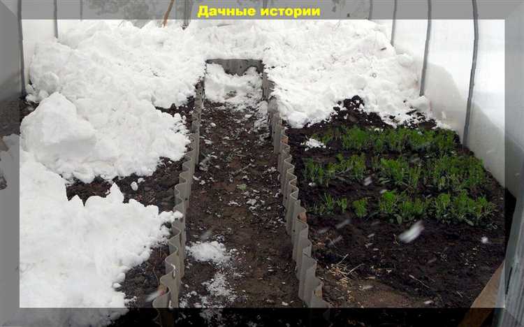 Как прогреть землю в теплице для ранних посадок