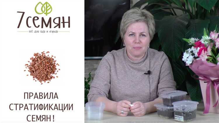 Продолжительность стратификации: как не пропустить срок
