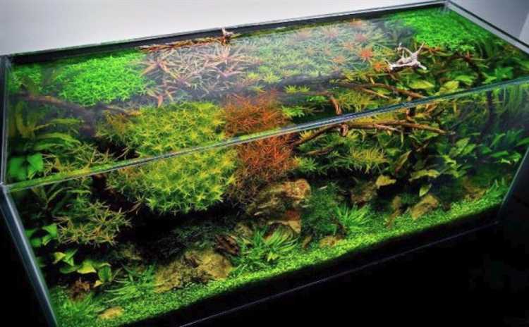 Как правильно разместить опоры и ножки подставки