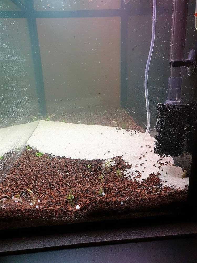 Какие меры принять для равномерного распределения веса по полу