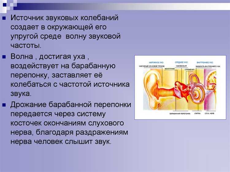 Как звуковые волны могут взаимодействовать с вакуумом на границах?