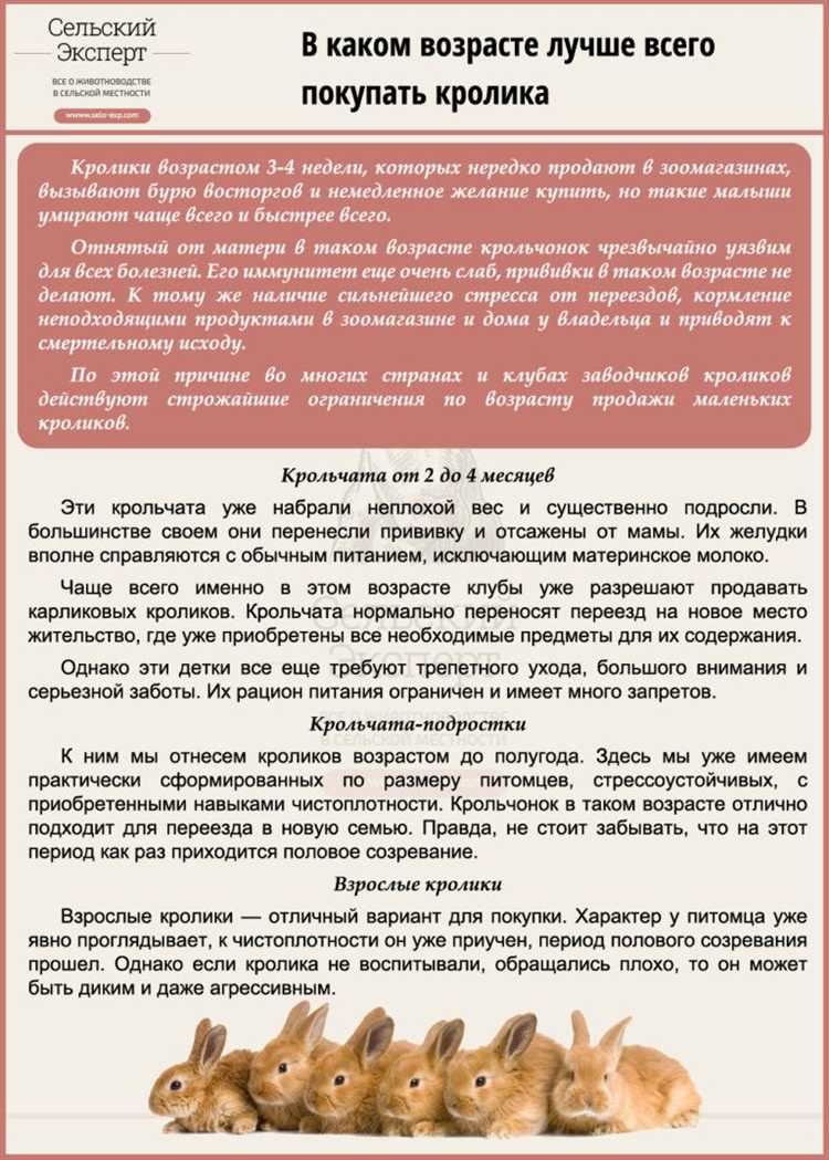 Профилактика и распознавание распространённых заболеваний