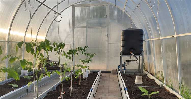 Как рассчитать нужное количество воды для растений