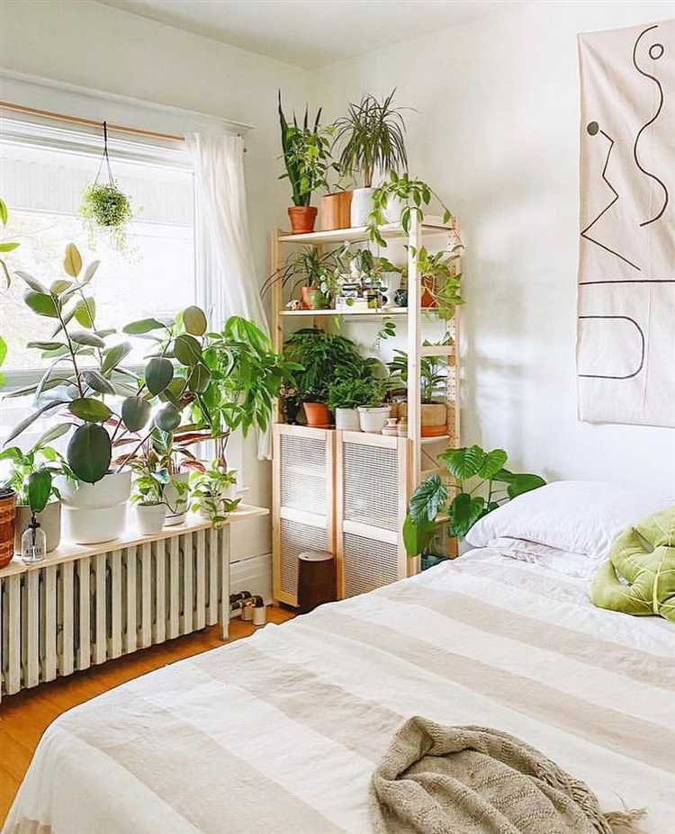 Как ухаживать за окрашенными в белый цвет стенами после завершения работ