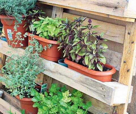 Как выбрать и разместить садовую мебель для отдыха