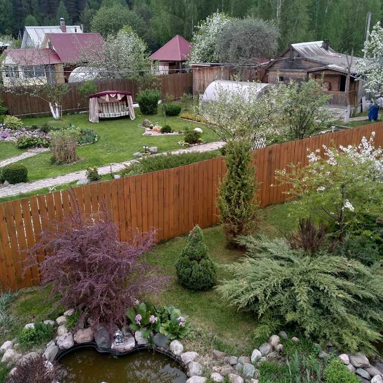 Создание тенистого уголка с помощью перголы и вьющихся растений