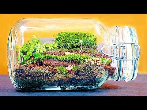 Раскрой и обработка стеклянных панелей для террариума