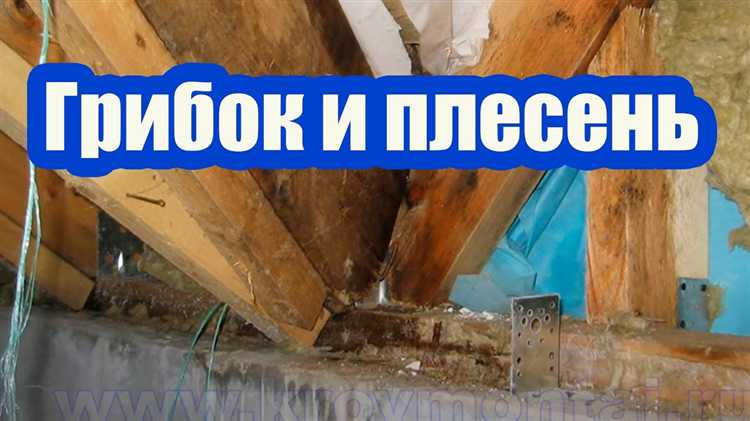 Оценка положения дерева и его угроза крыше