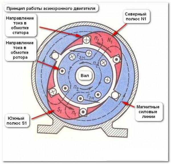 Фазный ротор асинхронного двигателя представляет собой ключевой элемент, обеспечивающий функционирование машины в асинхронном режиме с фазной обмоткой. В отличие от короткозамкнутого ротора, фазный ротор обладает обмоткой, состоящей из нескольких фаз, соединенных с помощью внешних кольцевых соединений. Эти обмотки расположены в пазах ротора и включают в себя проводники, через которые протекает ток при взаимодействии с магнитным полем статора.