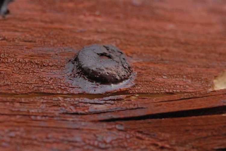 Как выкрутить шуруп если у него сорвана крестовина Как выкрутить шуруп если у него сорвана крестовина