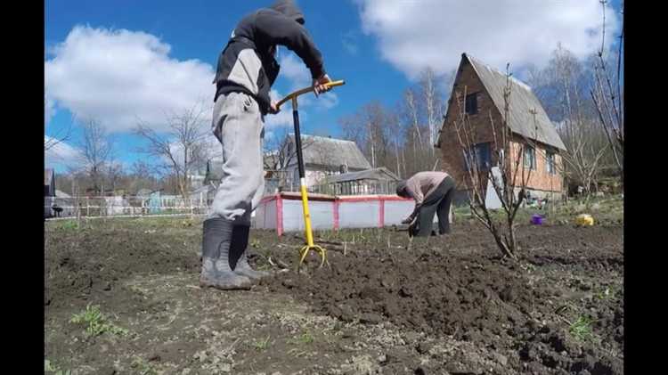 Устранение сорняков и растительных остатков при перекопке
