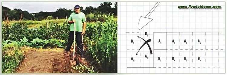 Как вскопать целину на даче своими руками Как вскопать целину на даче своими руками