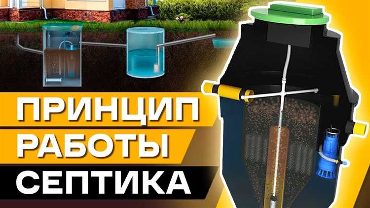 Как запустить септик после долгого простоя