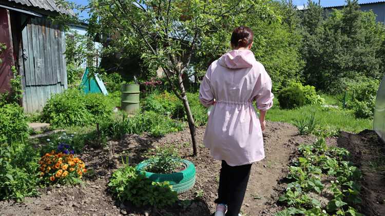 Методы удаления муравьев с коры без вреда для дерева