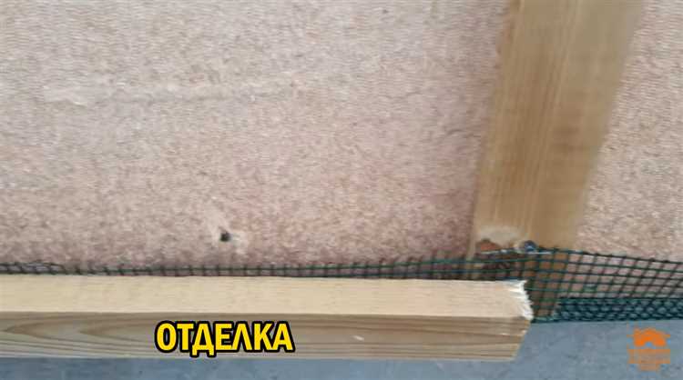 Использование ультразвуковых отпугивателей: плюсы и минусы