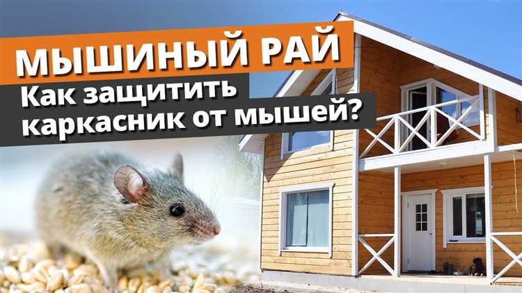Регулярный осмотр и поддержание защитных мер