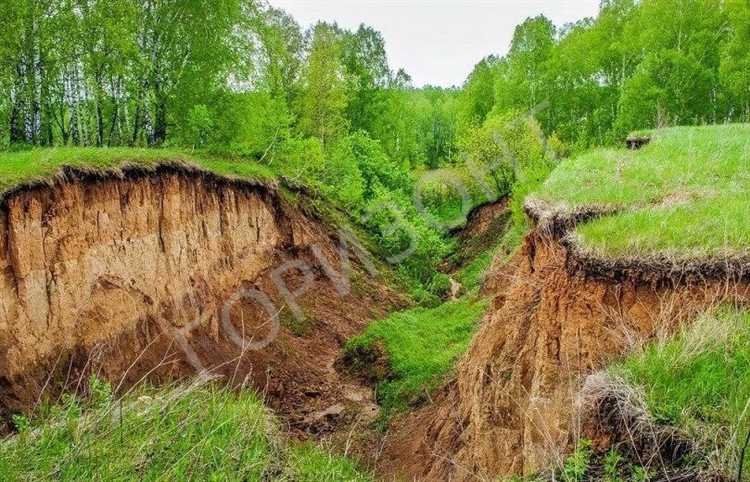 Ошибки при засыпке оврага, которые могут повлиять на будущую стройку