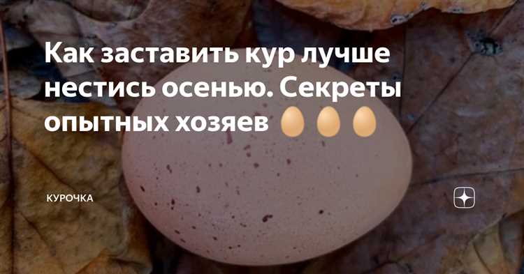 Правильное кормление и добавки для стабильной кладки