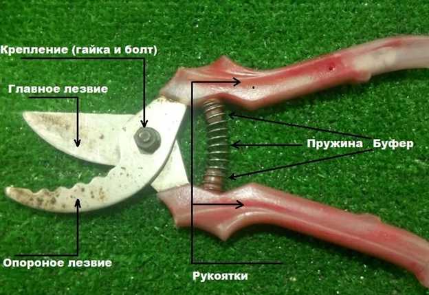 Как заточить секатор садовый в домашних условиях