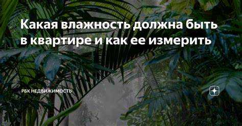 Какая влажность должна быть в квартире