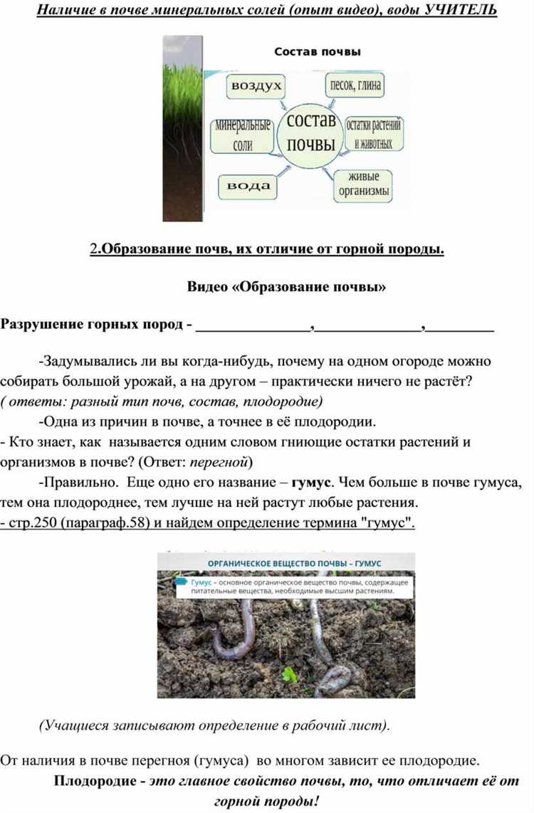 Как правильно выбрать почву для комнатных растений?