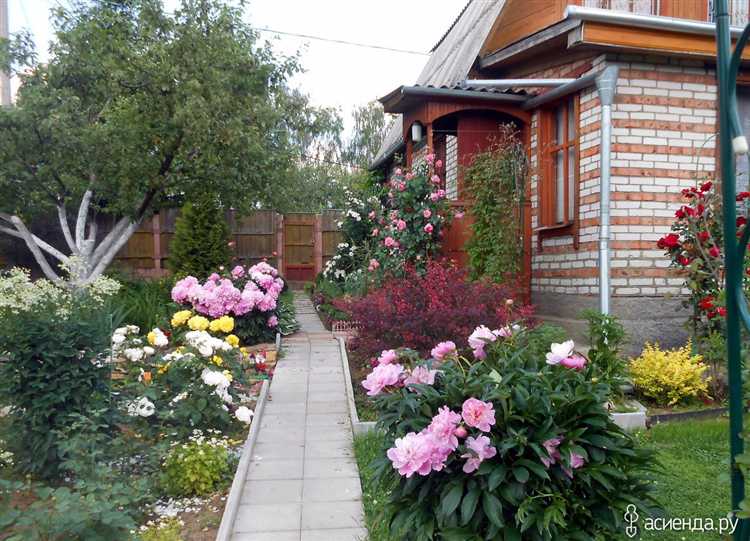 Высота и крона дерева: как рассчитать оптимальное расстояние от дома