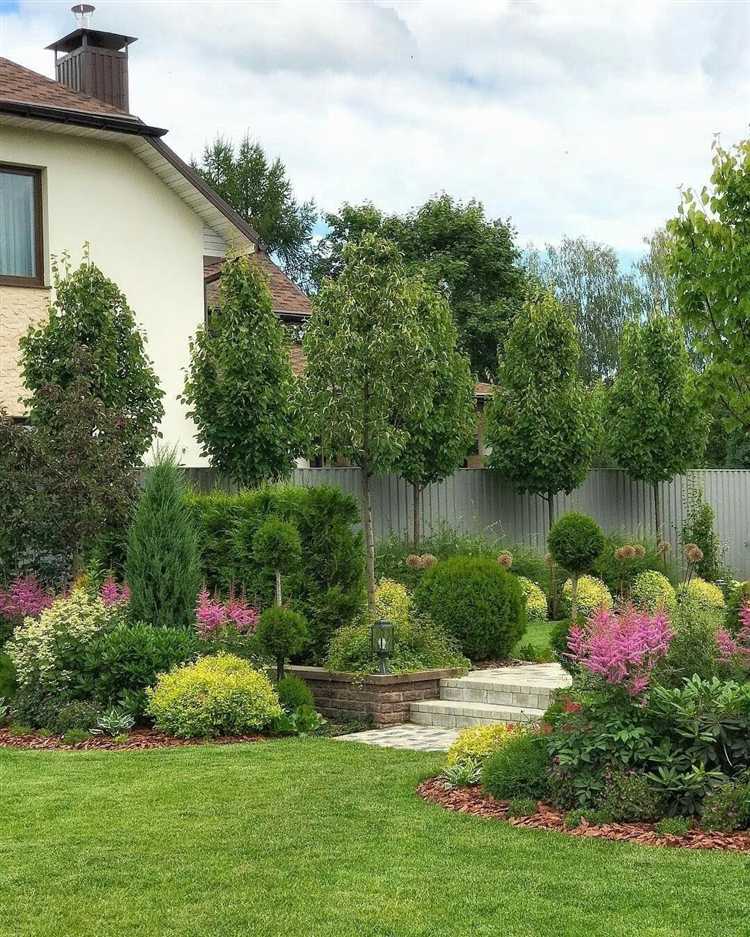 Листопадные или вечнозелёные: что выбрать для забора