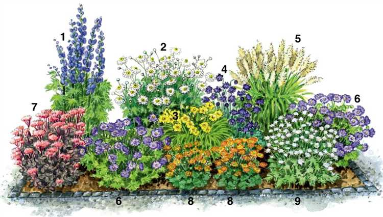 Почему слизни избегают ароматных трав и какие из них лучше сажать