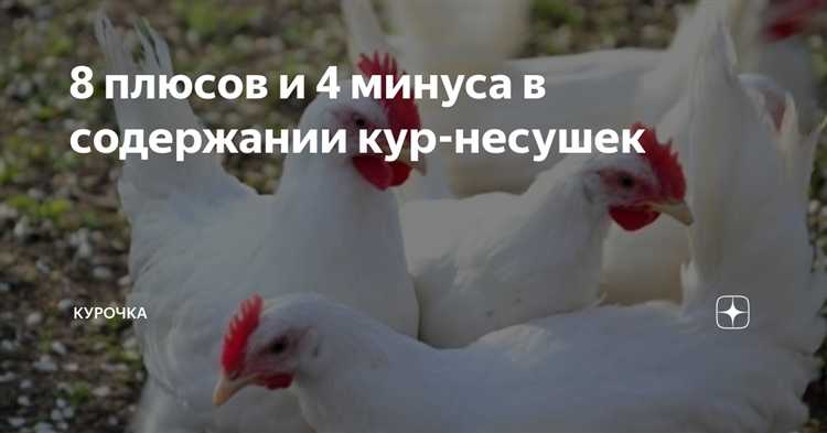 Какие витамины лучше для кур несушек отзывы