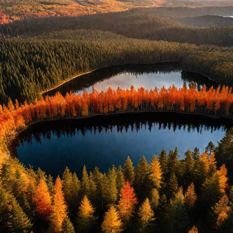 Как подготовить посадочную яму в сырых условиях