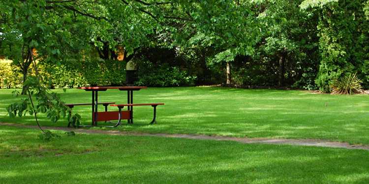 Как выбрать тип газона в зависимости от климатических условий