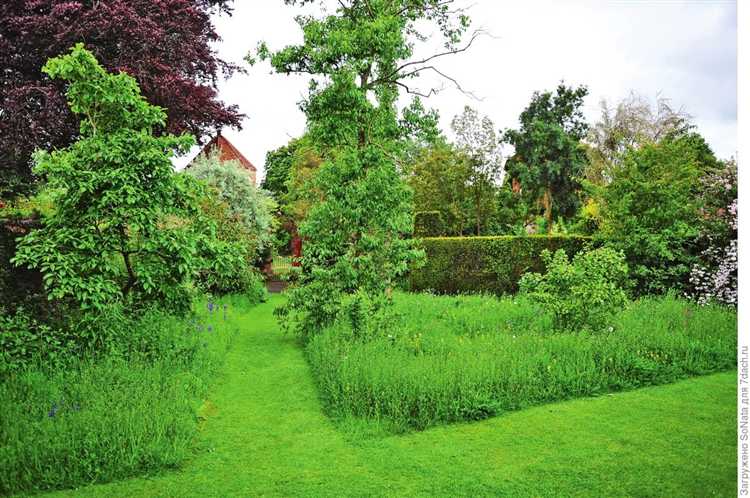 Технология сева газона для идеального результата