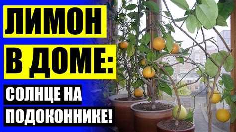 Нужен ли дренаж и какого размера должны быть отверстия