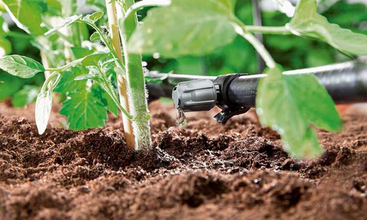 Какие дополнительные функции насосов могут быть полезны в системе капельного полива