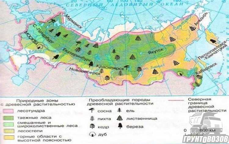 Определение уровня влажности почвы по визуальным признакам
