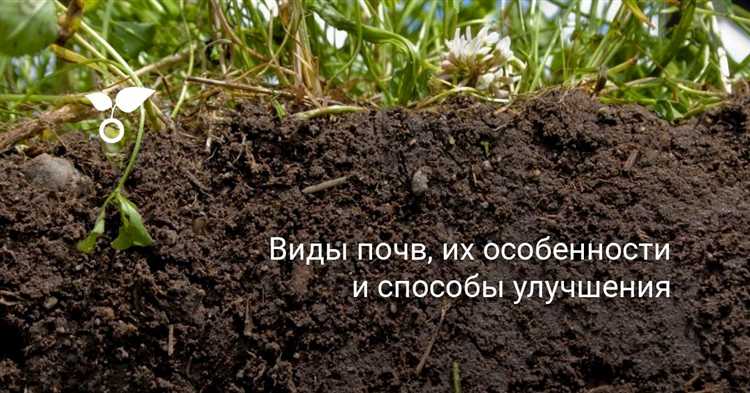 Анализ спутниковых снимков для классификации почв на больших территориях