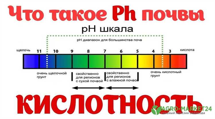 Признаки дисбаланса кислотности почвы у хост и способы устранения