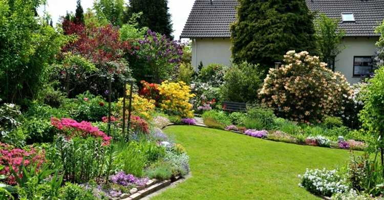 Выбор сосны для кислых и щелочных почв