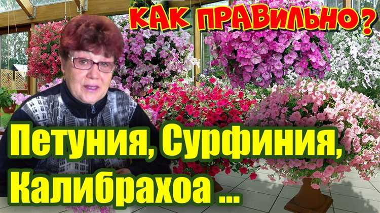 Требования к подкормкам и удобрениям для двух видов