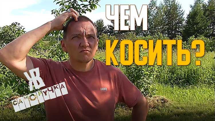 Почему направление стрижки влияет на рост травы
