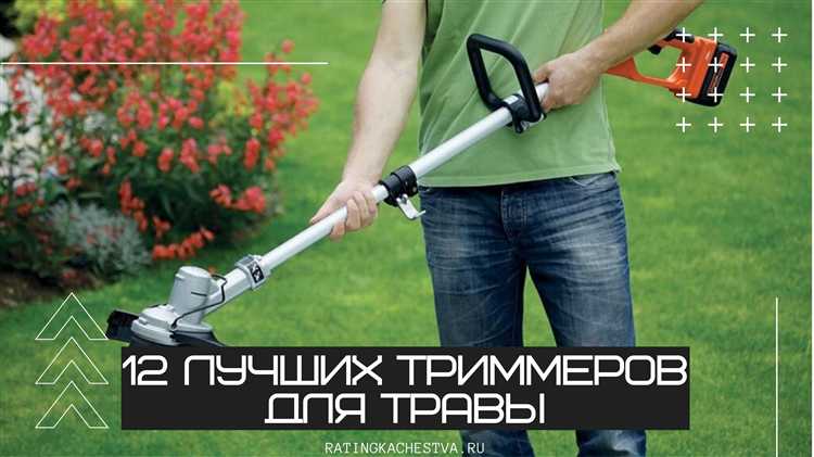 Какие погодные условия замедляют рост после покоса