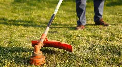 Лучшие модели ручных кос для различных условий и бюджета