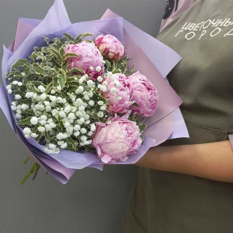 Как найти продавцов с пионами нидерландского происхождения на Вайлдберриз