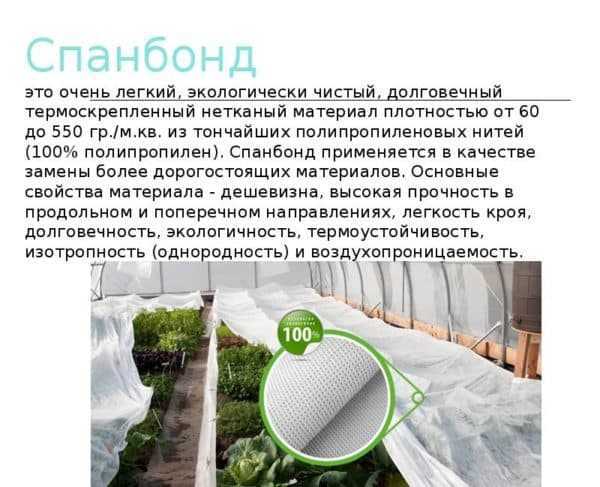 Как распознать лофт в интерьере: ключевые признаки