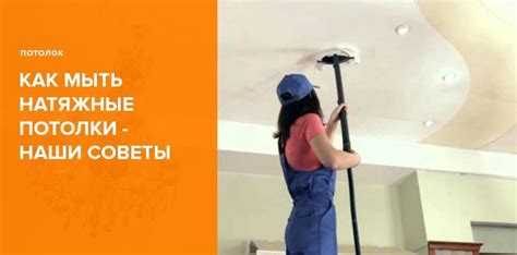 Какие ловушки подходят для использования под натяжным потолком