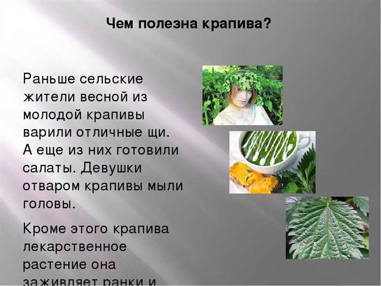 Определение оптимальной кислотности почвы для крапивы